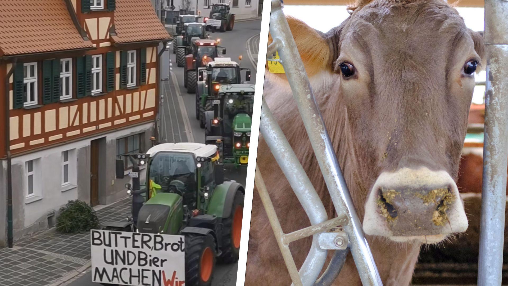 Bauernproteste 2024 für Agrardiesel und KfZ-Steuerbefreiung: Was hilft ...